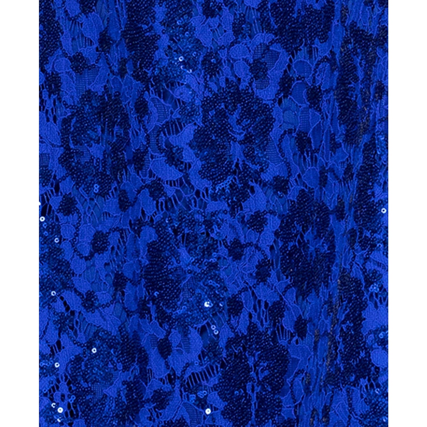 Betsy & Adam Women's Sequin Lace Sleeveless Gown - Royal, Size 14, MSRP: 199$