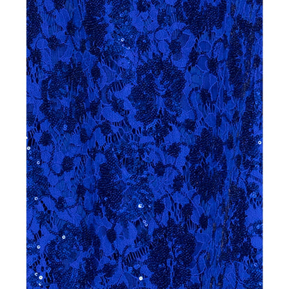 Betsy & Adam Women's Sequin Lace Sleeveless Gown - Royal, Size 4, MSRP: 199$